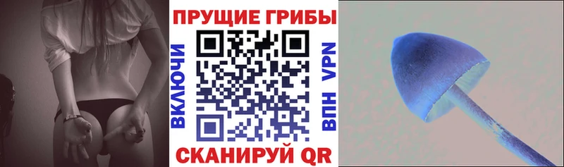 Галлюциногенные грибы Psilocybine cubensis  Николаевск 
