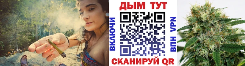 Бошки марихуана конопля  hydra tor  Николаевск 